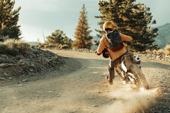 Evergoods X Carryology - The Griffin Reawakens - Civic Bookbag 22L CB22