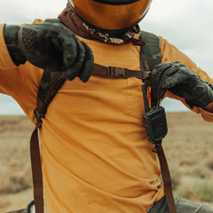 Evergoods X Carryology - The Griffin Reawakens - Civic Bookbag 22L CB22